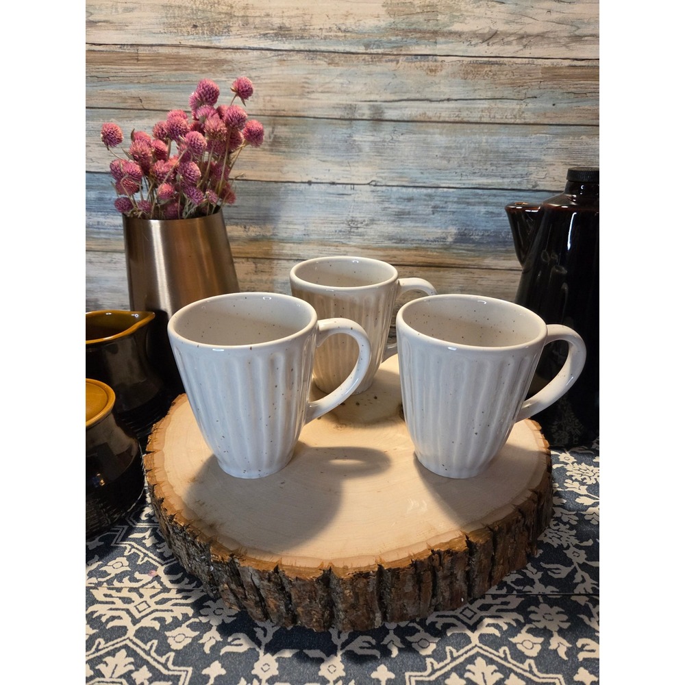 Set of‎ 3 West Elm Ribbed Speckled Stoneware Mugs White Rustic Farmhouse